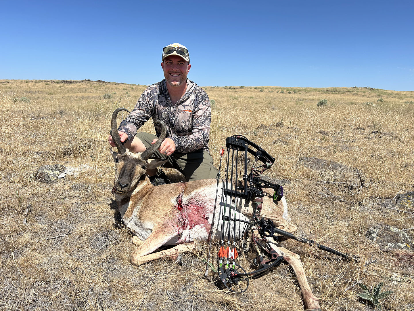 Bowtech Revolt X vs Pronghorn Buck